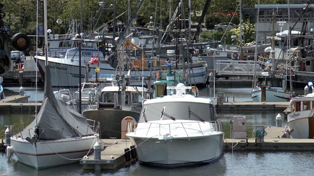 Community Stories: Fishermen's Terminal Revisited