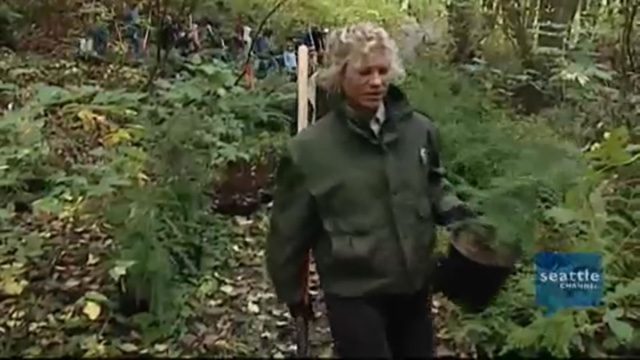 CityStream Splash Back: Magnolia