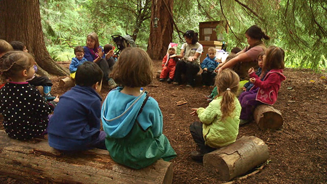 CityStream: Outdoor Learning at Fiddleheads Forest School