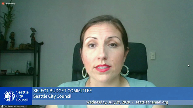 Select Budget Committee Session I 7/29/20