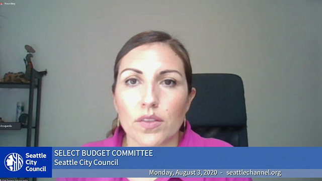 Select Budget Committee 8/3/20