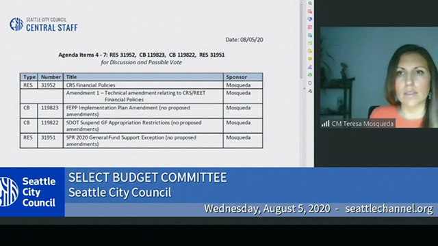 Select Budget Committee Session II 8/5/20