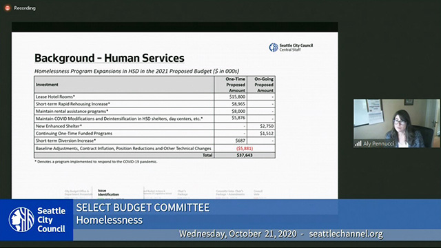 Select Budget Committee Session II 10/21/20