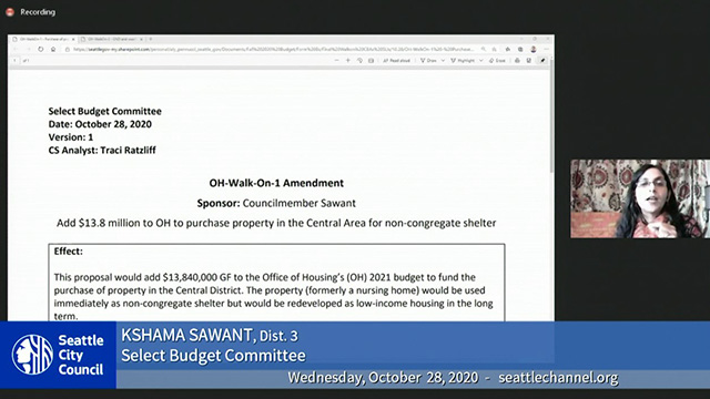 Select Budget Committee Session II 10/28/20