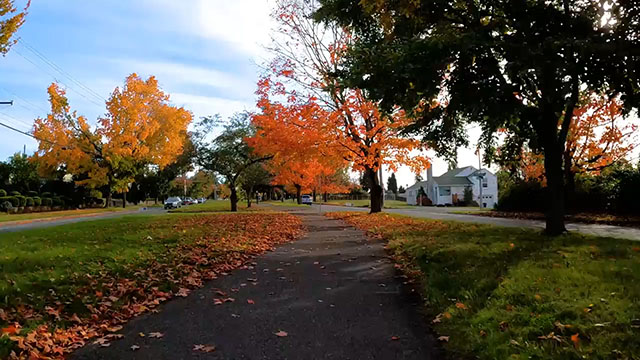 Fall'n in love with autumn in Seattle 