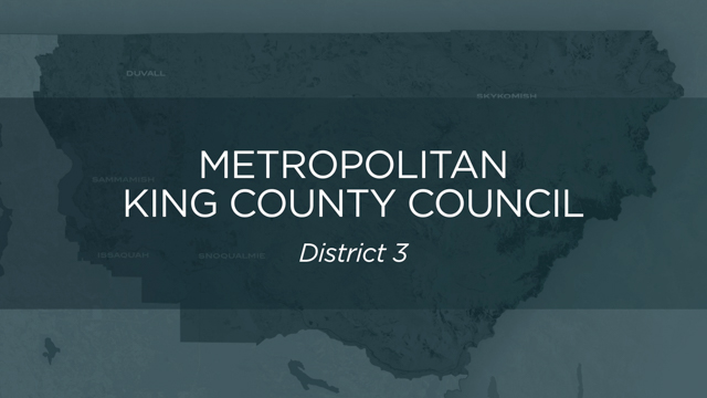 Metropolitan King County, Council District No. 3