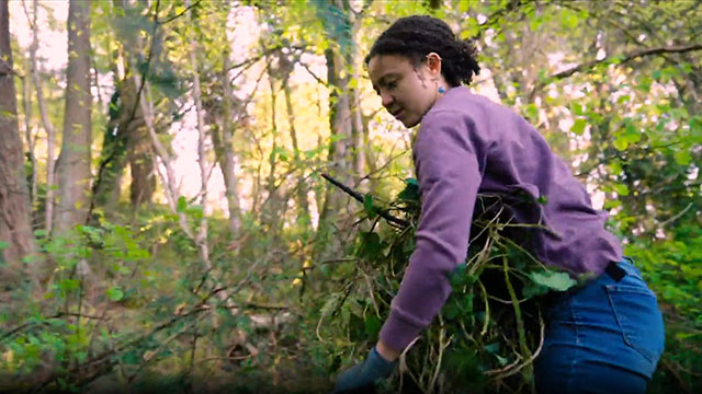 Earth stewards clean up Seattle's urban forests