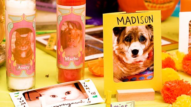 Honoring beloved pets & animals at Woodland Park Zoo’s first Día de Muertos celebration on Explore Videos Page Honoring beloved pets & animals at Woodland Park Zoo’s first Día de Muertos celebration