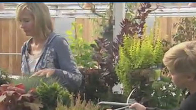 Video - Plant in Fall for a Stronger Garden