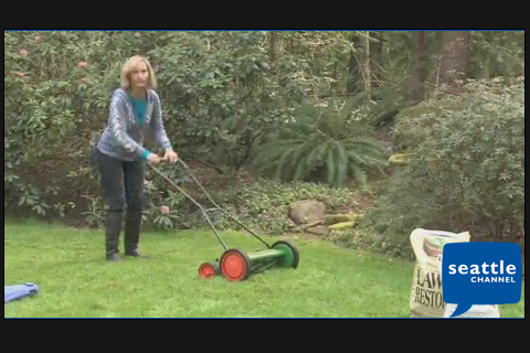 Video - Go Natural with Your Lawn