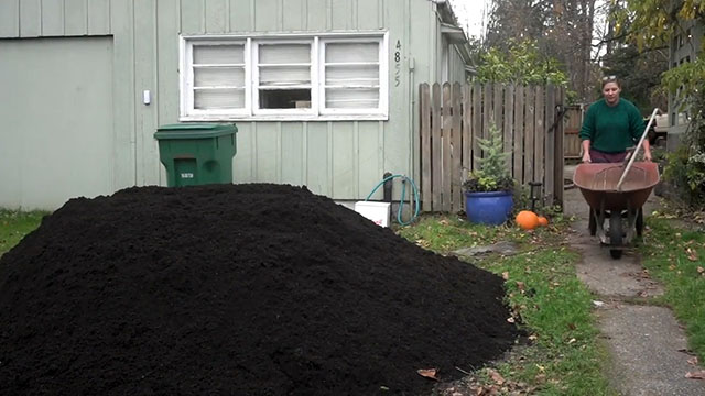 Turning over a new leaf: how composting turns yard waste into garden magic